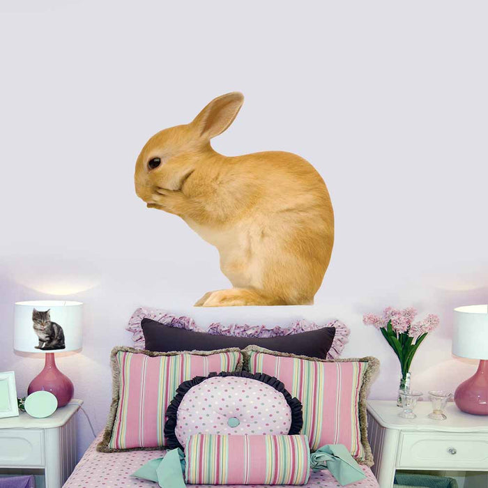 48 inch Whispering Bunny Decal Installed Above Bed