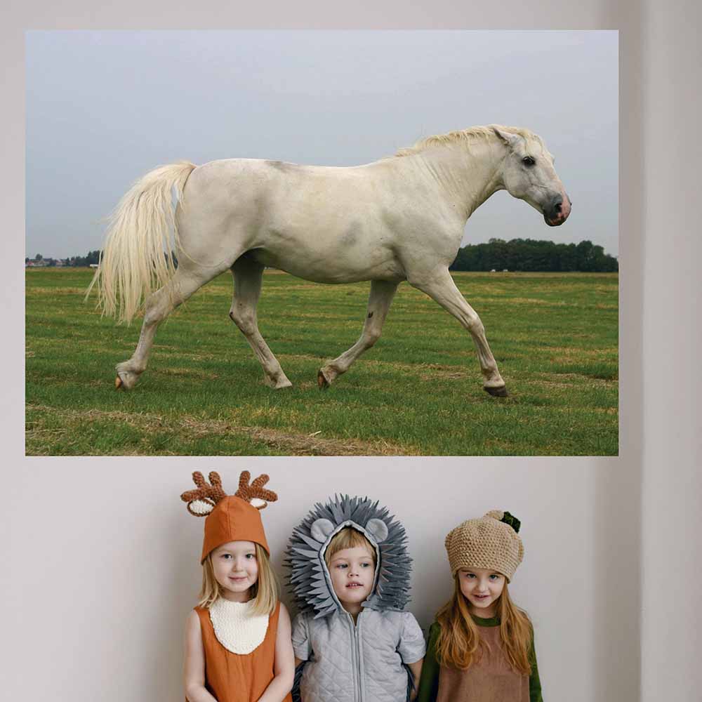 48 inch White Mustang Poster Displayed in Kids Room