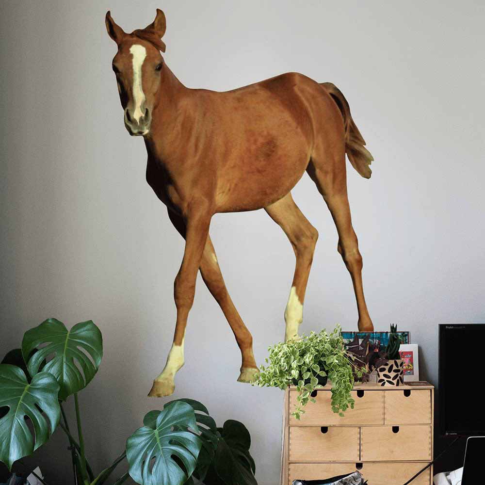 48 inch Young Foal Die-Cut Decal Installed Above Plants