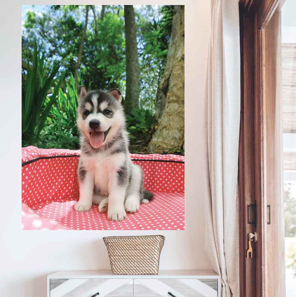 48 inch Husky Puppy Decal Portrait Installed Near Door