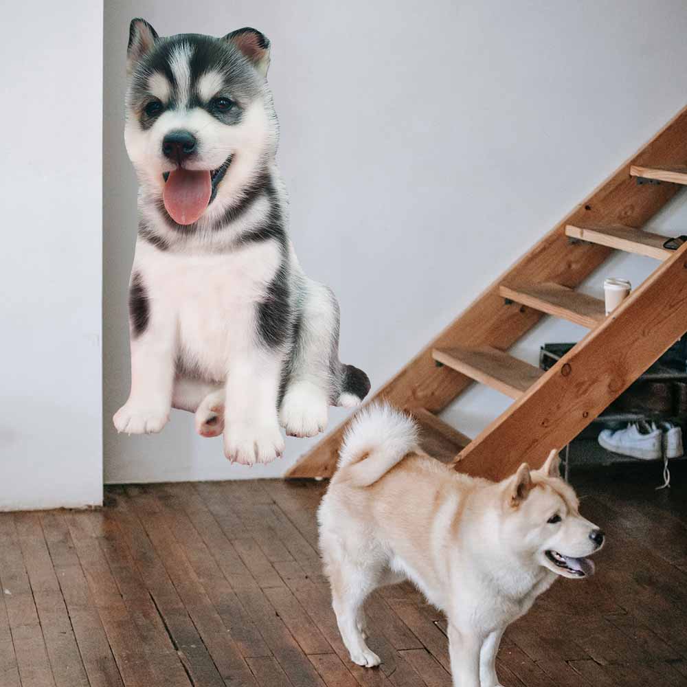 48 inch Husky Puppy Decal Installed Near Stairs