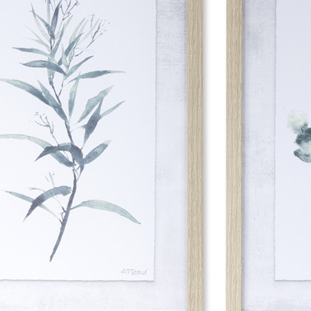 Set Of Two Acrylic Leaf Framed Wall Art | 13