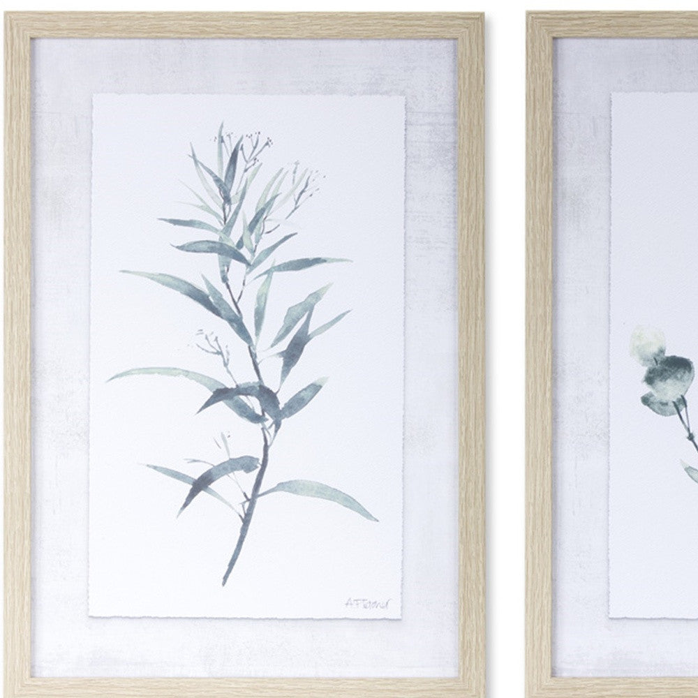 Set Of Two Acrylic Leaf Framed Wall Art | 13