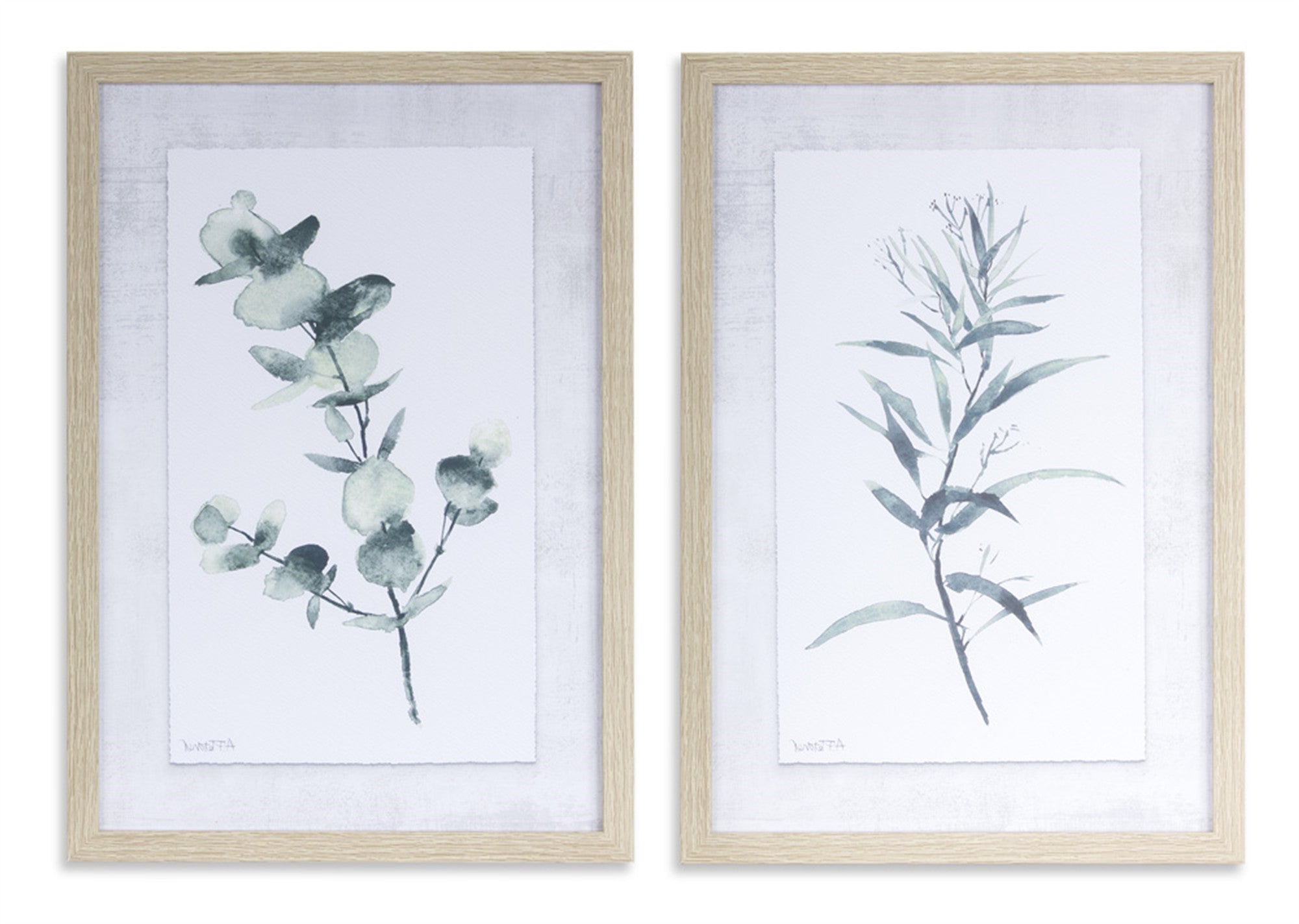 Set Of Two Acrylic Leaf Framed Wall Art | 13