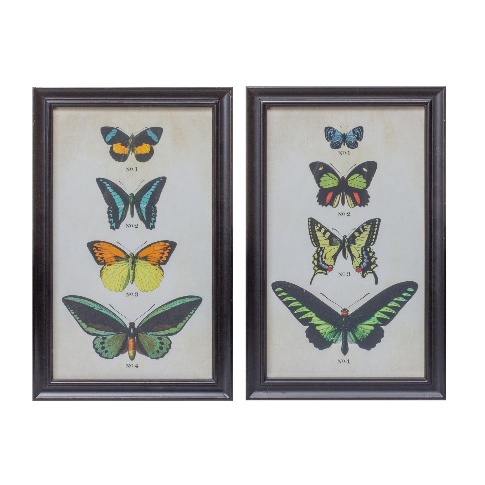 Set Of Two Butterfly Framed Art Prints | 11