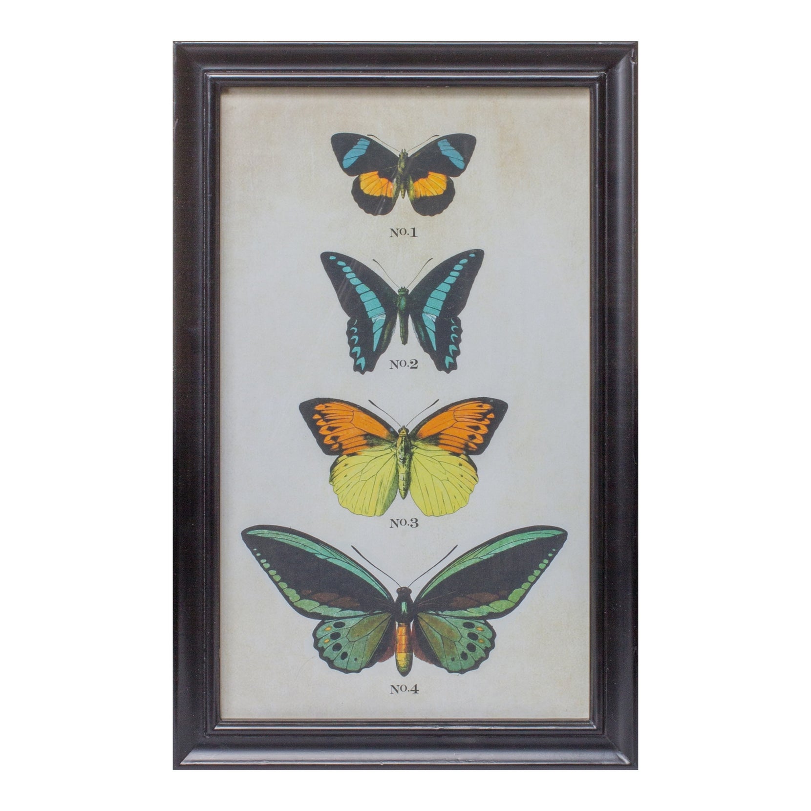 Set Of Two Butterfly Framed Art Prints | 11