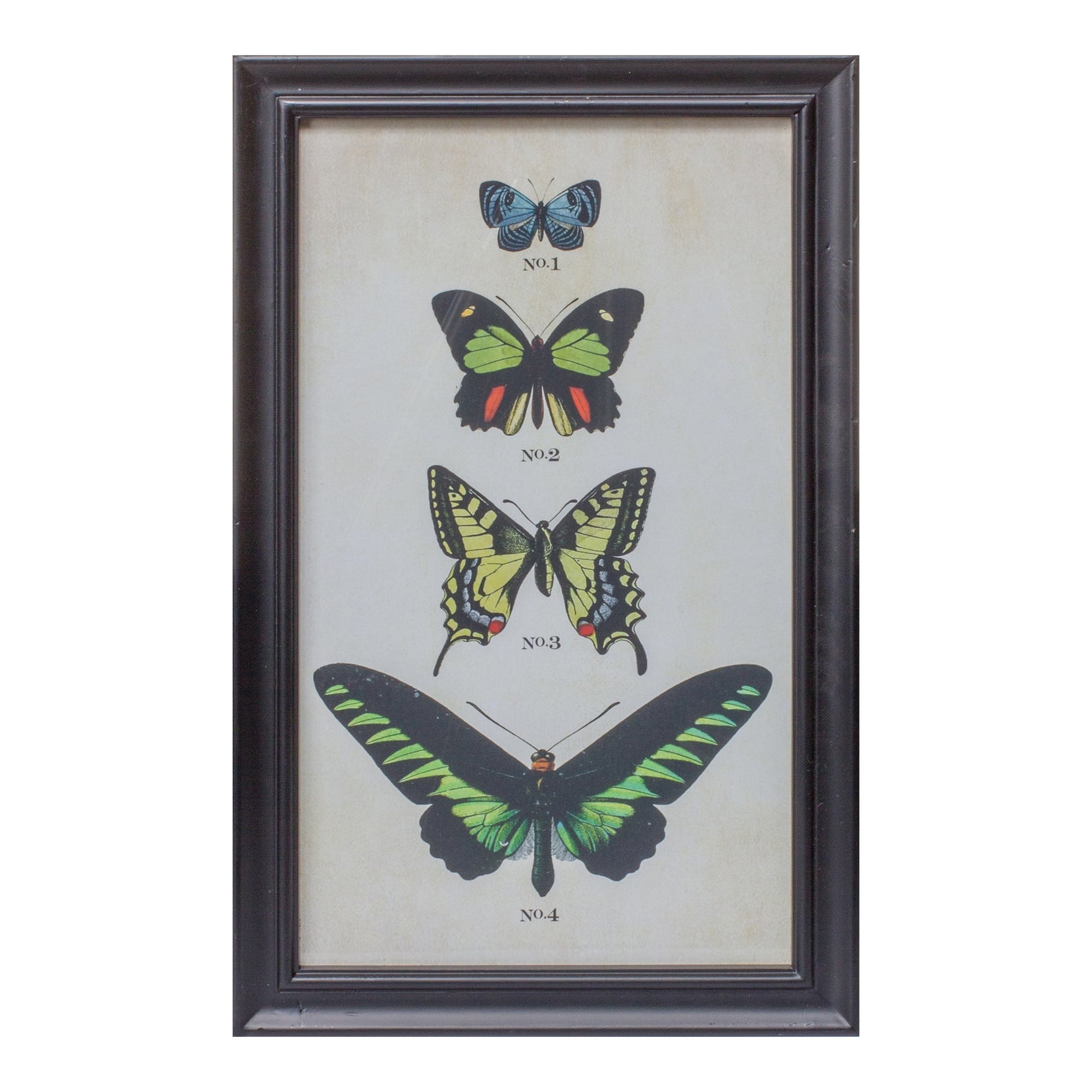 Set Of Two Butterfly Framed Art Prints | 11