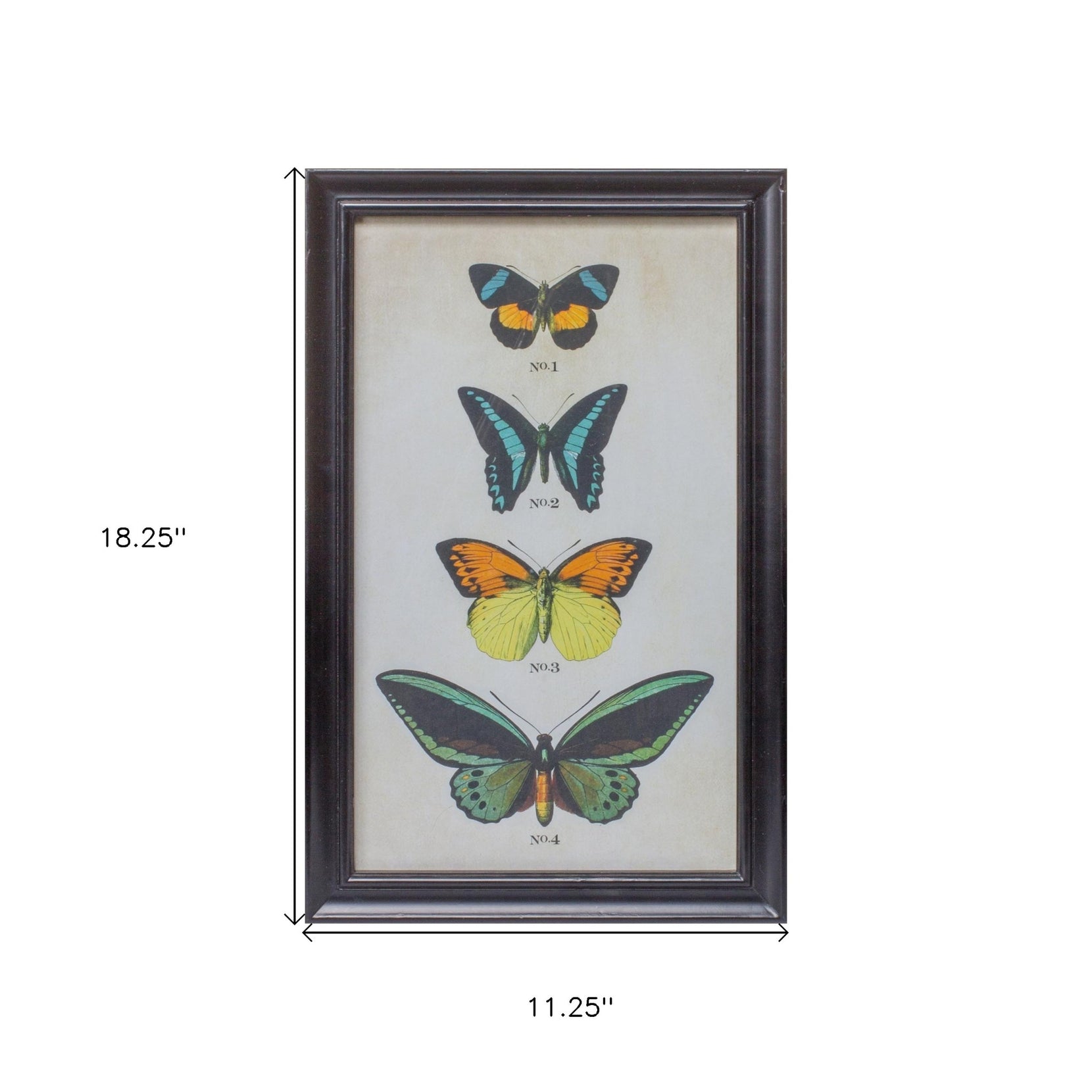 Set Of Two Butterfly Framed Art Prints | 11