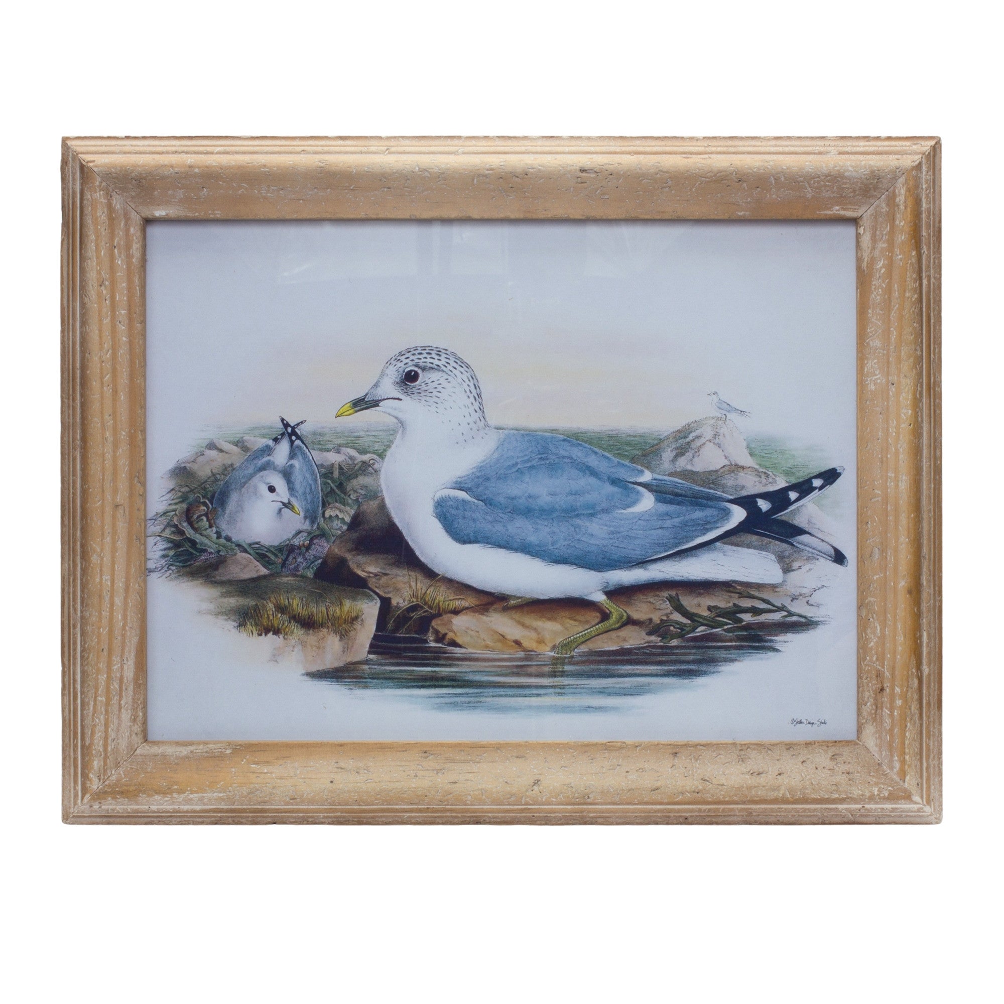 Blue Solid Wood Bird Wall Decor | 13
