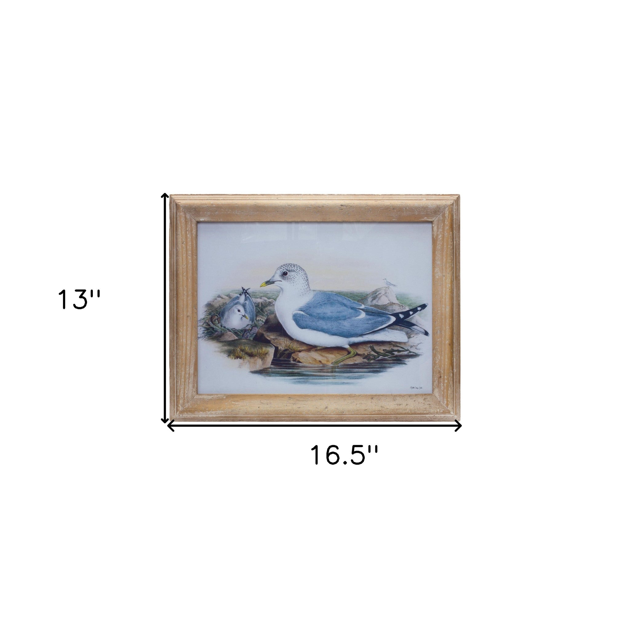 Blue Solid Wood Bird Wall Decor | 13