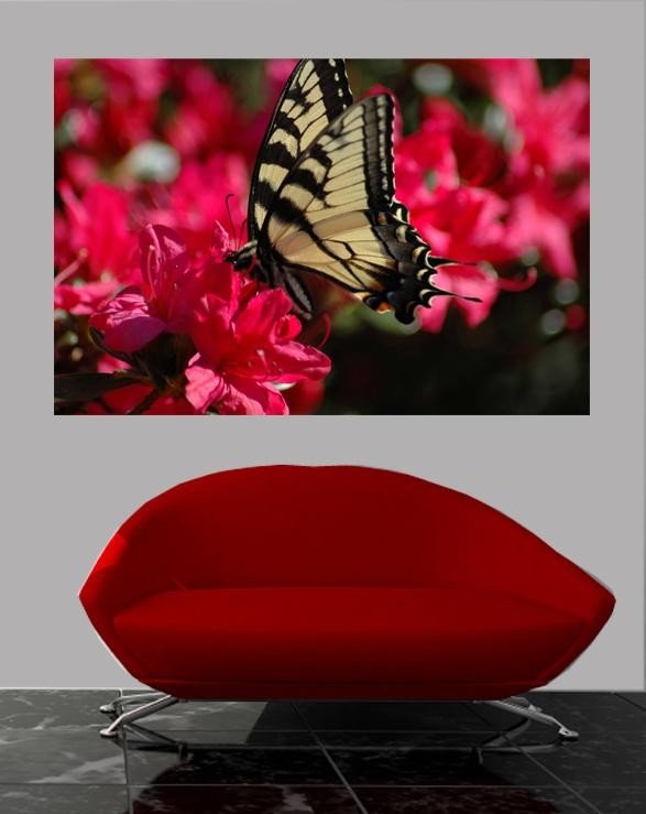 Guernsey Butterfly on Flower Glossy Poster (5 Sizes Available)