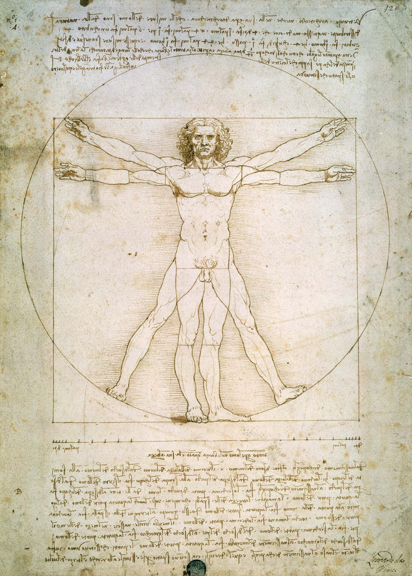 Da Vinci 