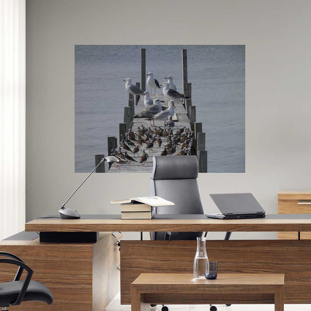 60 inch Birds on Dock Decal Installed In Office