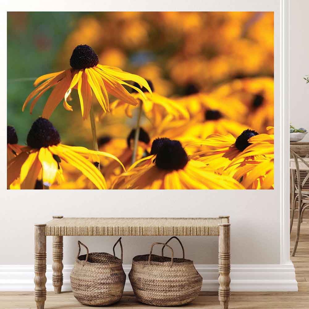 60 inch Big Brother Floral Poster Displayed Above Bench