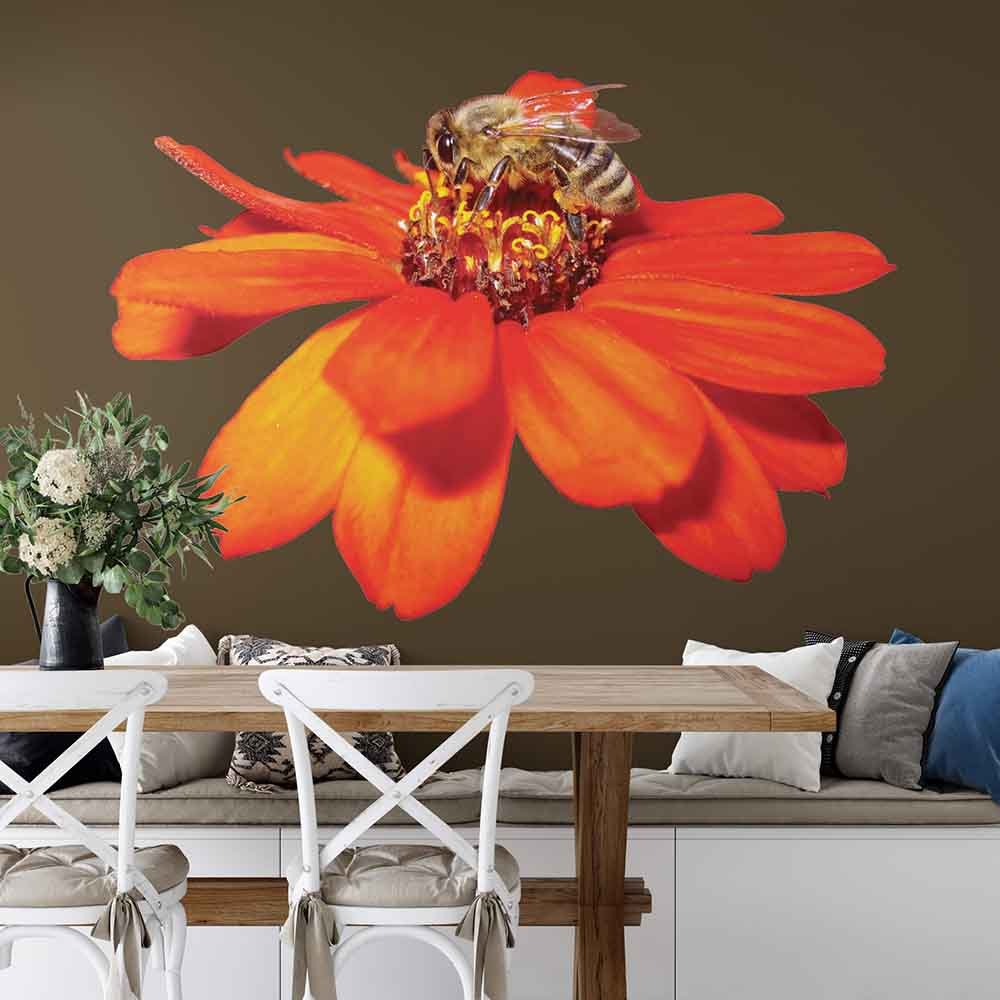 60 inch Pollen Nation Die-Cut Decal Installed in Dining Area