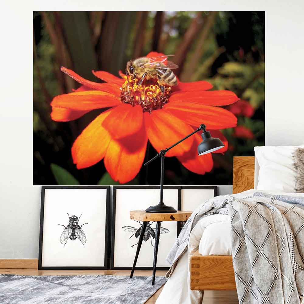 60 inch Pollen Nation Poster Displayed on Wall