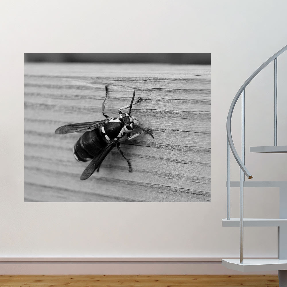 48x60 Bee Poster Displayed by Staircase