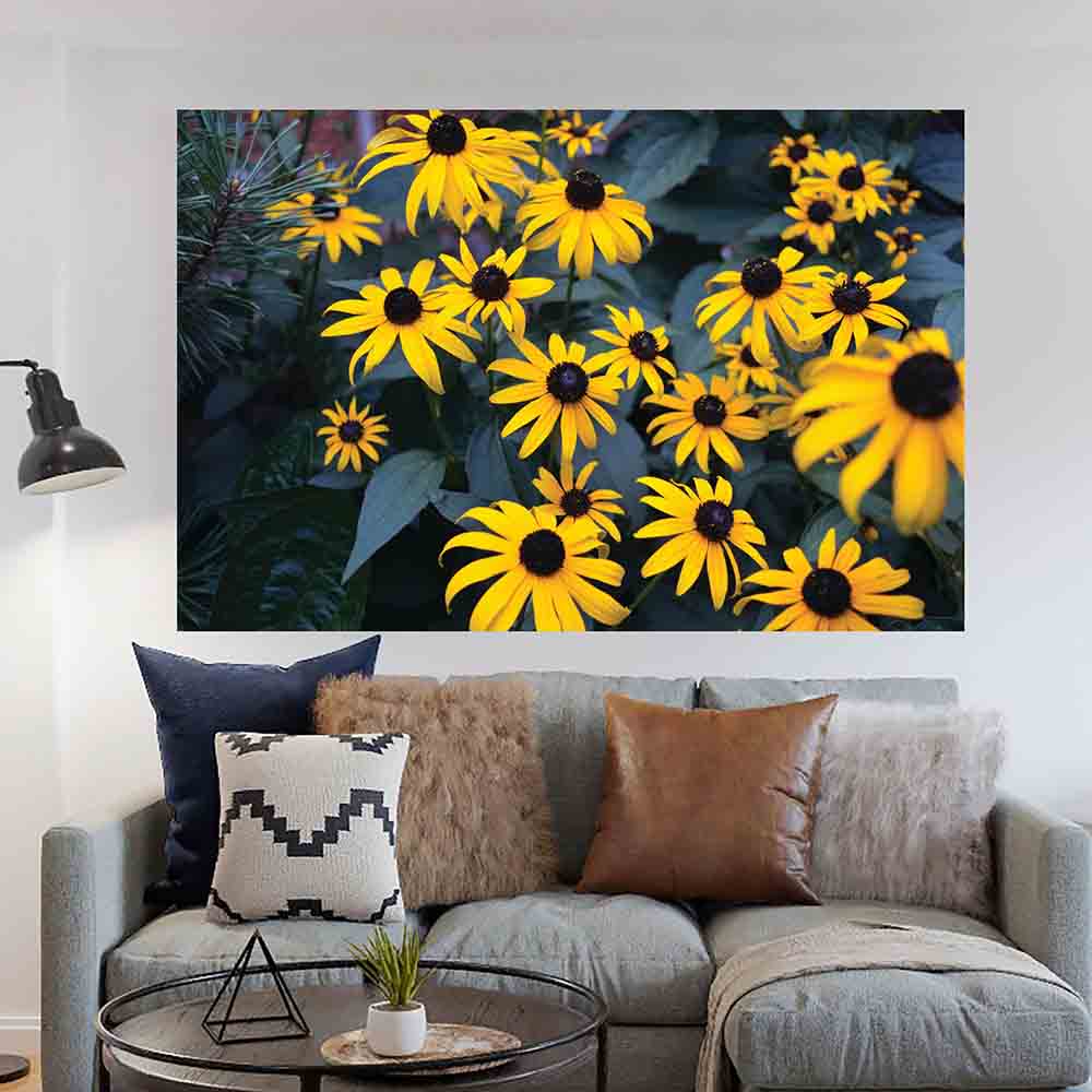 39.5x60 inch Bunch of Daisies Poster Displayed Above Sofa