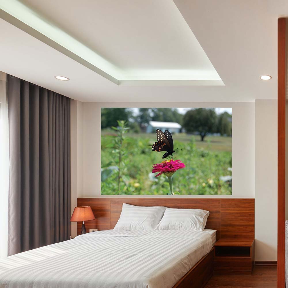 60 inch Butterfly Wall Decal Installed Above bed