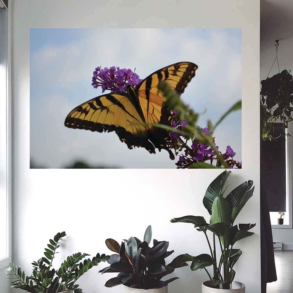39.5x60 inch Butterfly Resting Decal Installed Above Plants