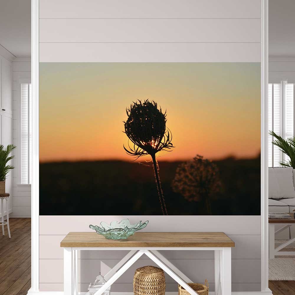 39.5x60 inch Sunset Flower Decal Installed Above bench