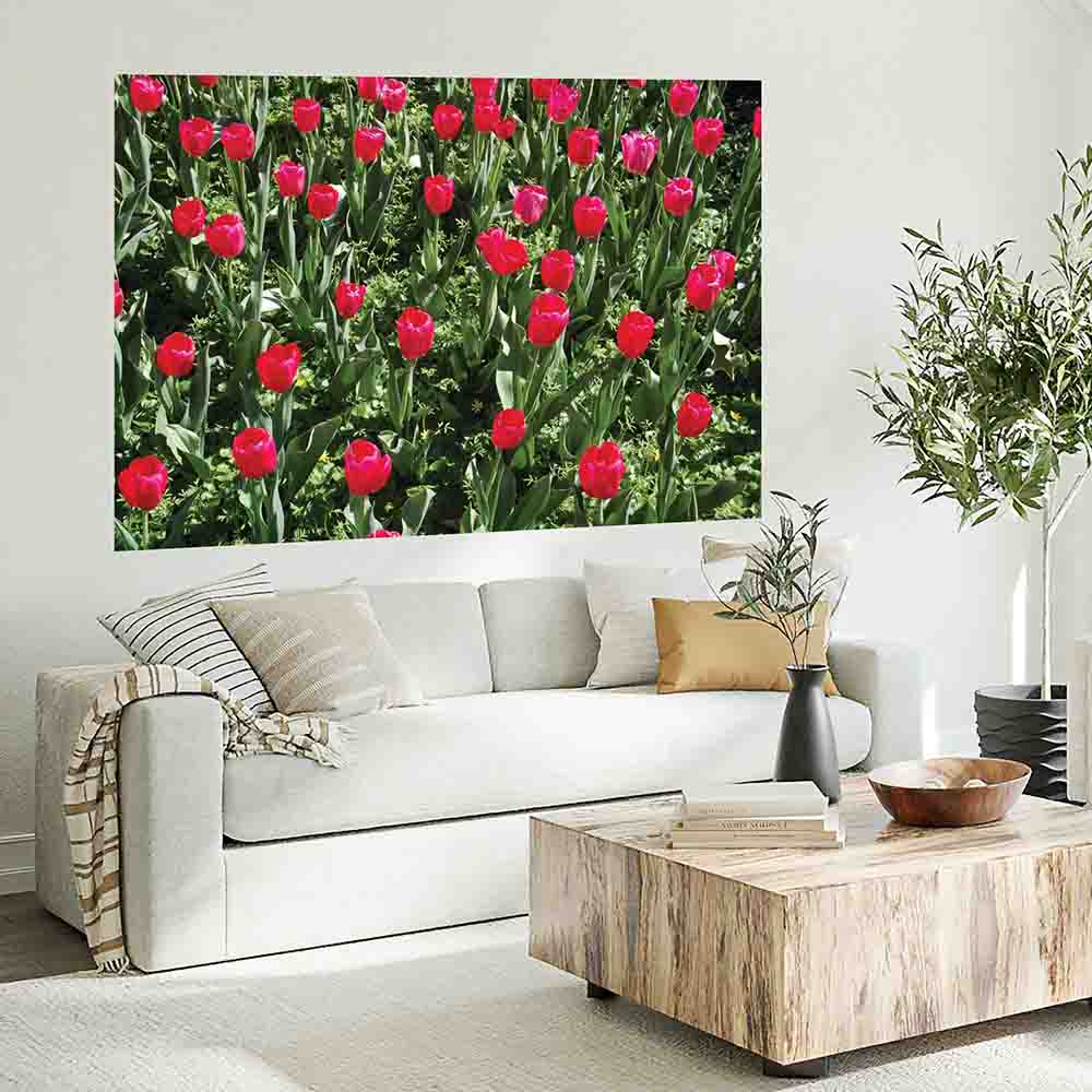 40x60 inch Flowers Decal Installed in Living Room