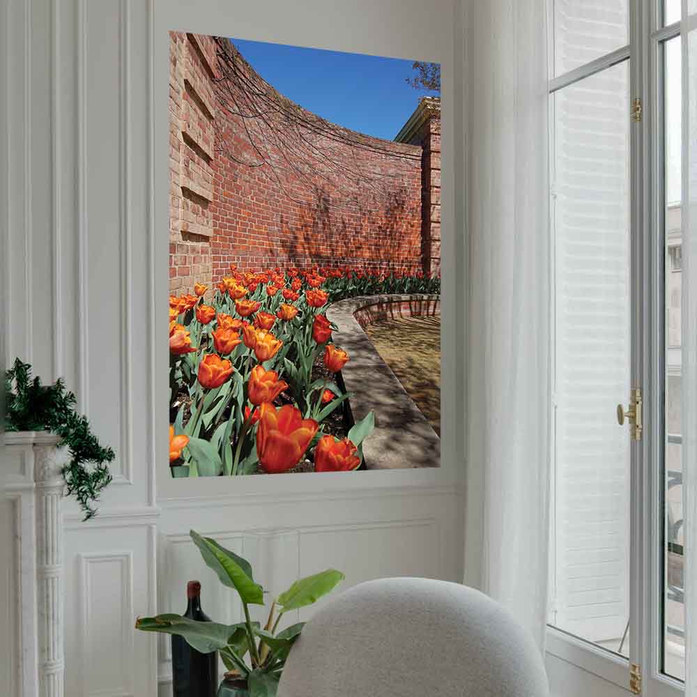 40x60 inch Wall Decal Installed Near Window