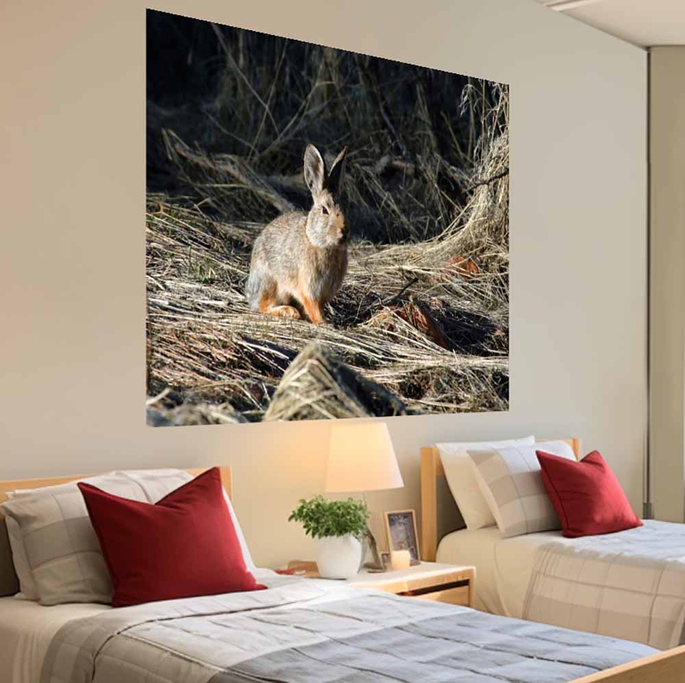48x60 inch Cottontail Poster Displayed Above Beds