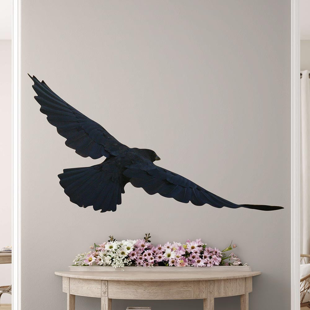 32.5x60 inch Die-Cut Crow Decal Installed Above Table