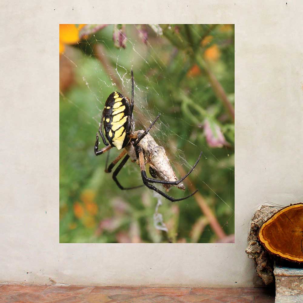 48x60 inch Feeding Time Poster Displayed Above Counter