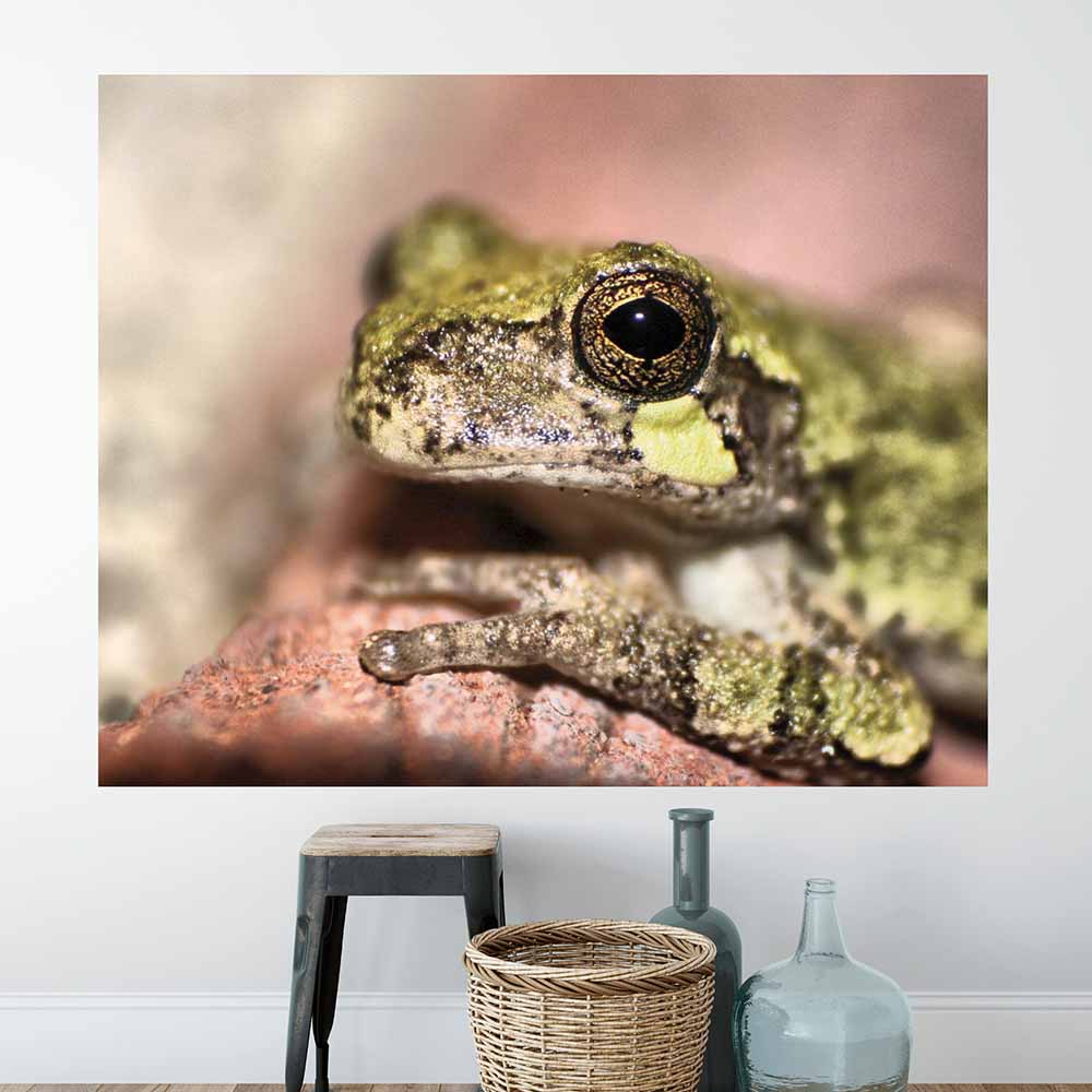 48x60 inch Frog Portrait Poster Displayed Above Stool and Basket