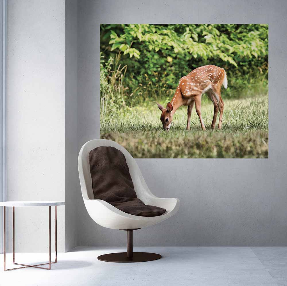 48x60 inch Grazing Fawn Poster Displayed Above Chair