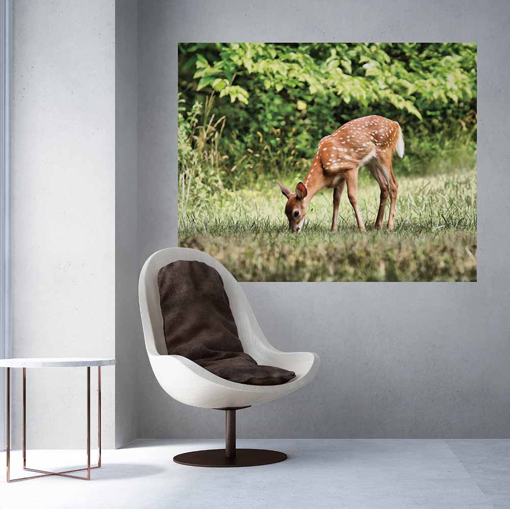 48x60 inch Grazing Fawn Decal Installed Above Chair
