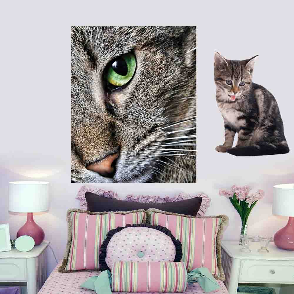 48x60 inch Max Close Up Cat Decal Installed in Girls Room