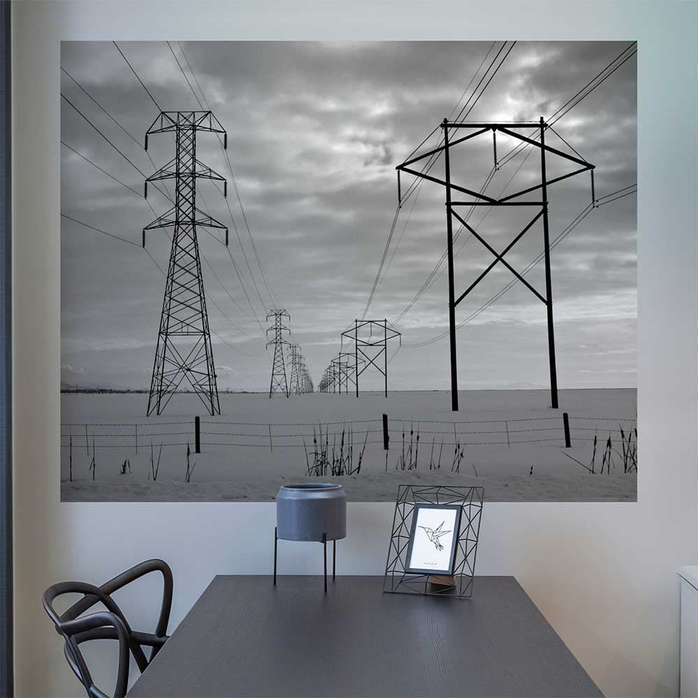 48x60 inch Power Lines Poster Displayed Above Desk