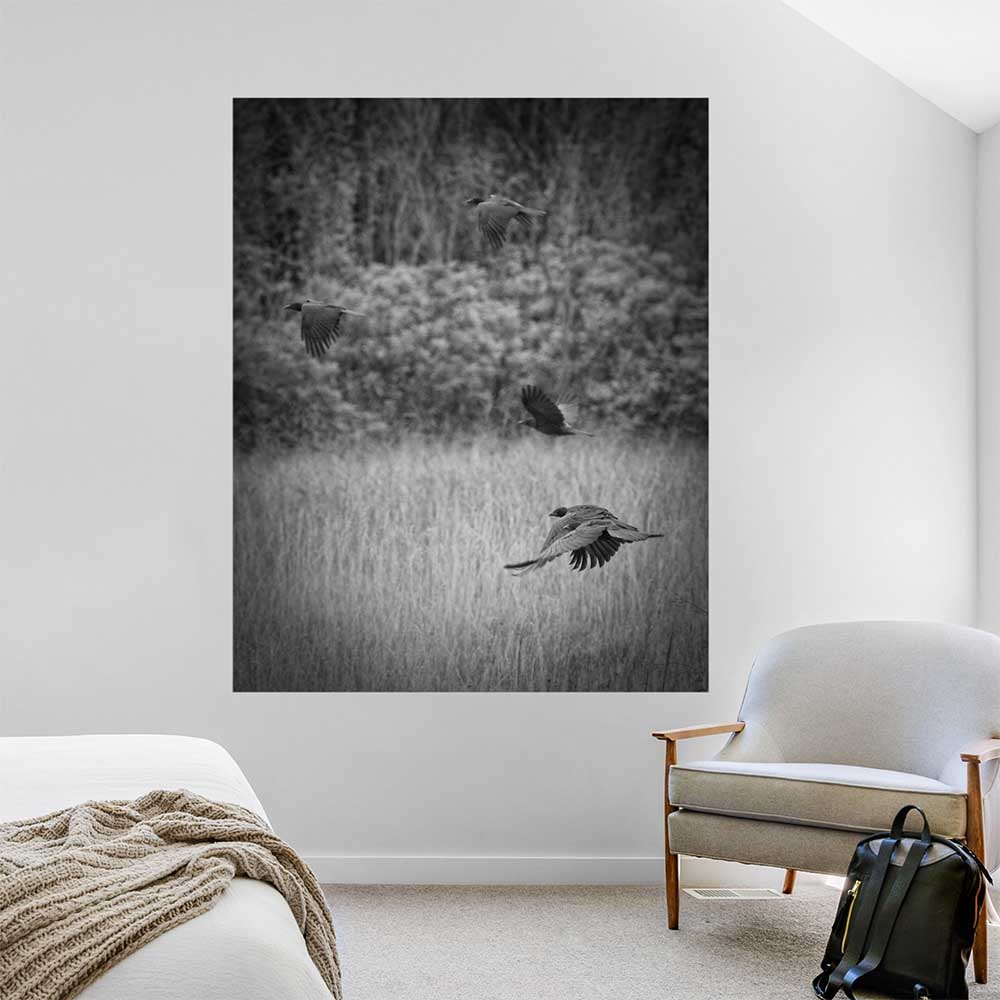 48x60 inch The Crows Decal Installed in Bedroom