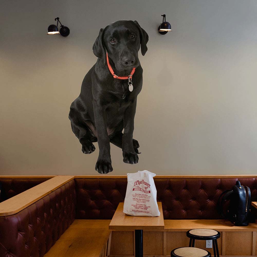 60 inch Black Lab Die-Cut Decal Installed on Restaurant Wall