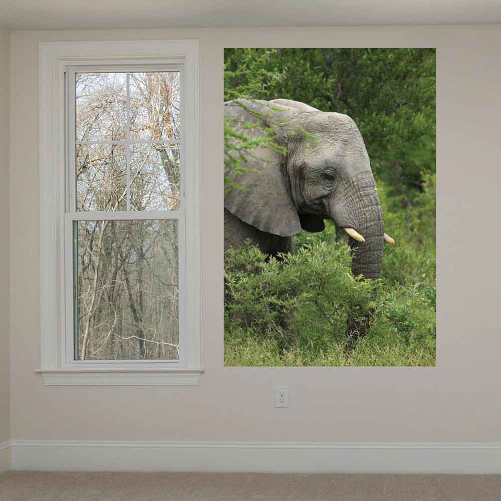 40x60 inch Elephant Poster Displayed by Window