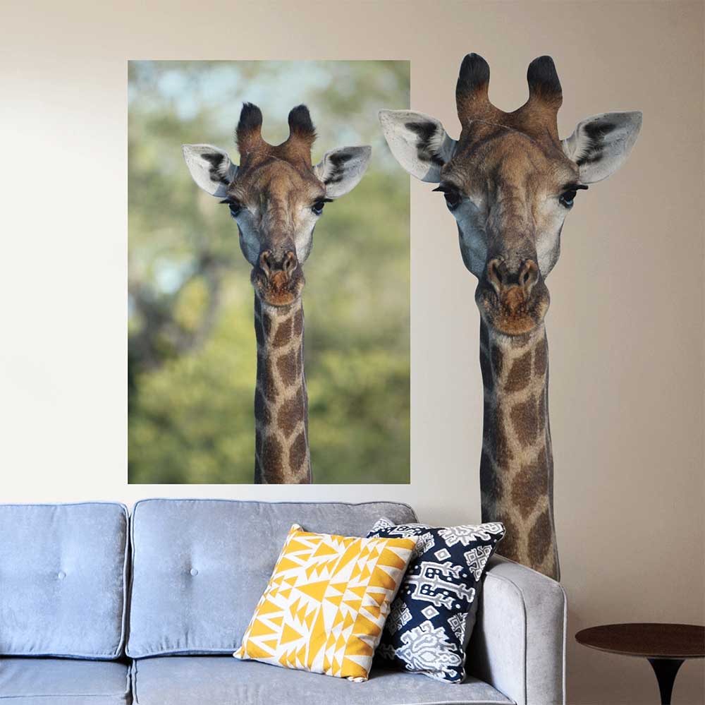 30x60 inch Die-Cut Giraffe Decal Installed Behind Sofa