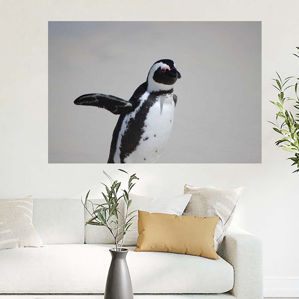 40x60 inch Penguin Waving Decal Installed Above Sofa