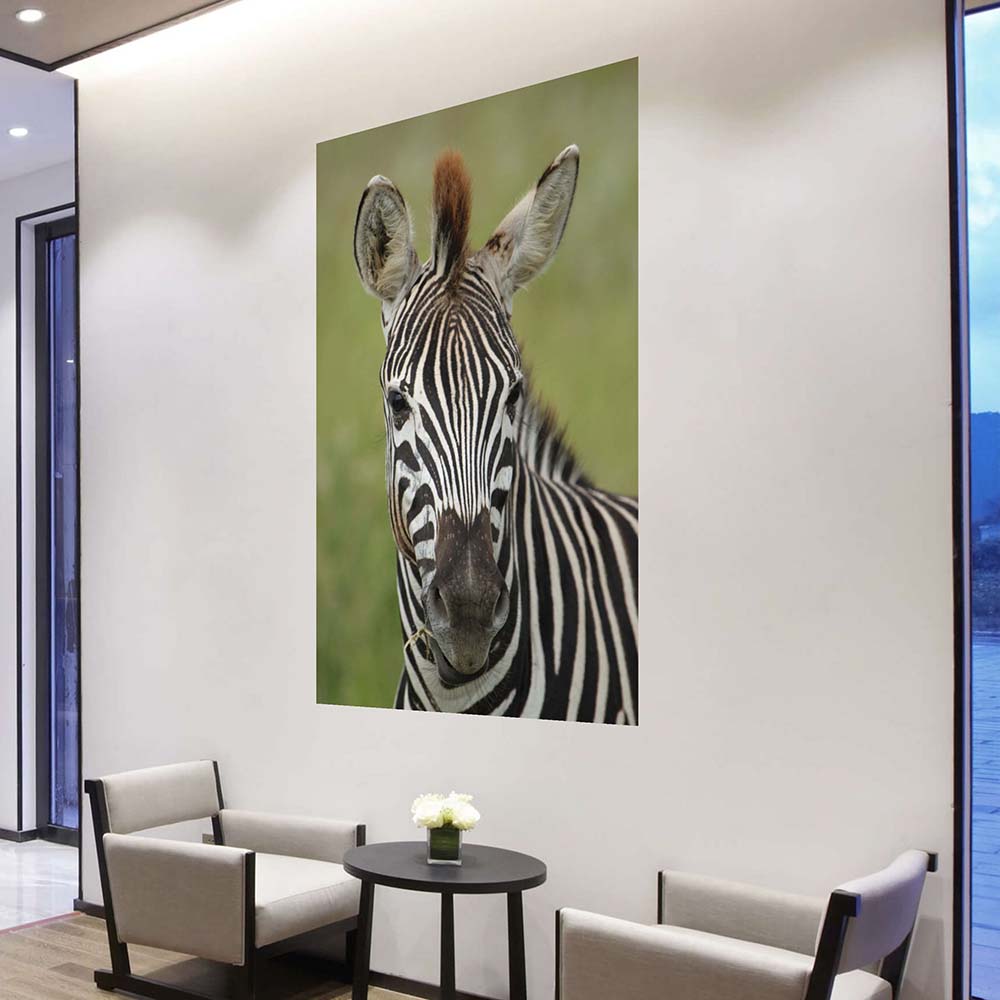 40x60 inch Zebra Portrait Poster Displayed in Office Foyer