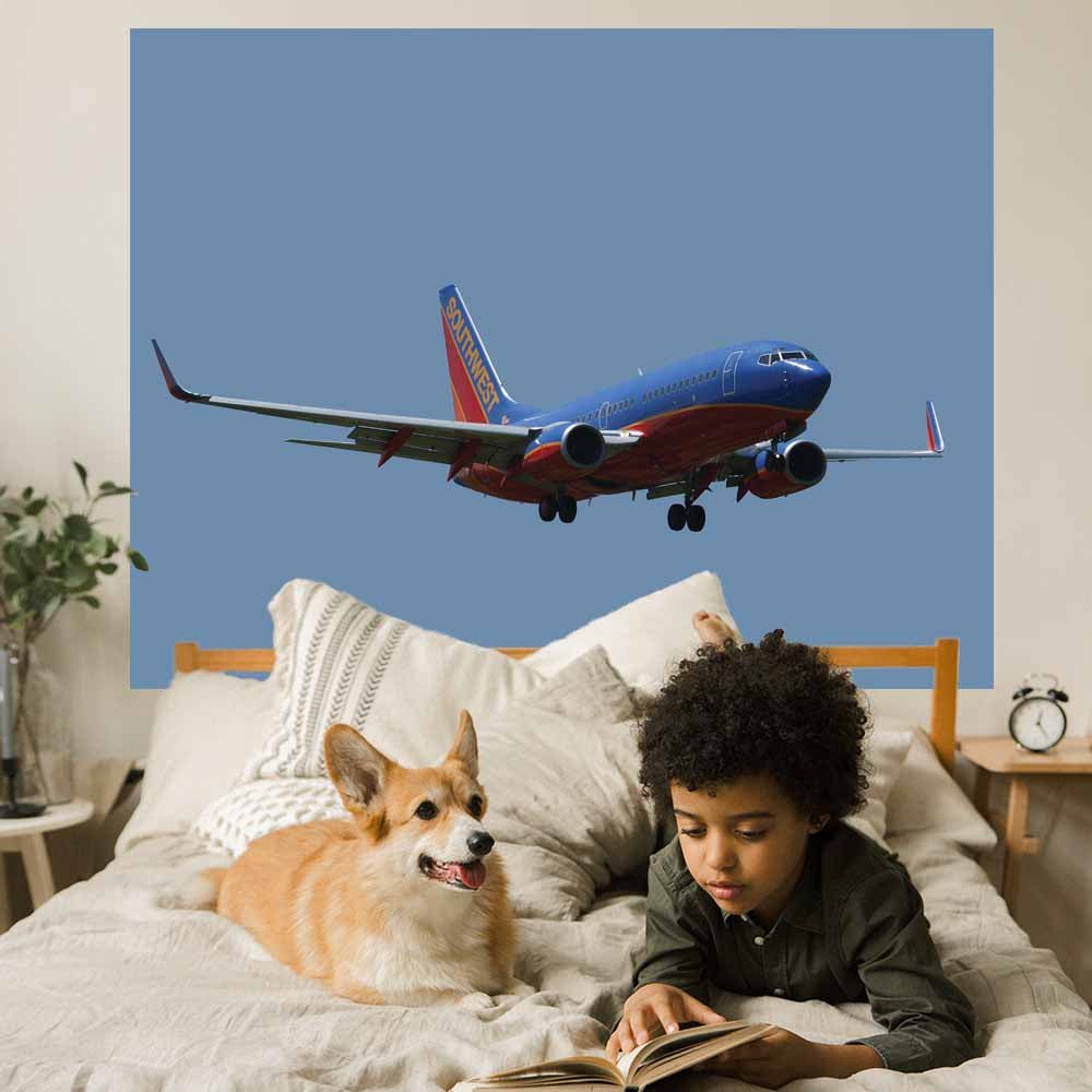 45.5x60 Southwest 737 Approach Decal Installed in Boys Room