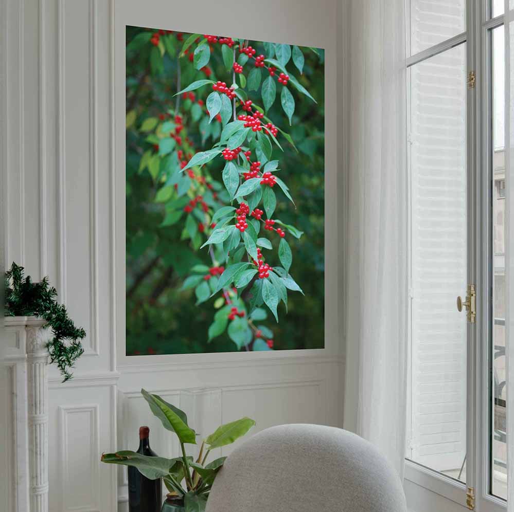 40x60 inch Berries Poster Displayed Near Window