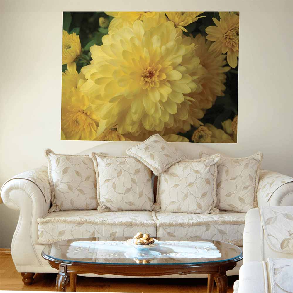 45x60 inch Chrysanthemum Flowers Poster Displayed Above Sofa