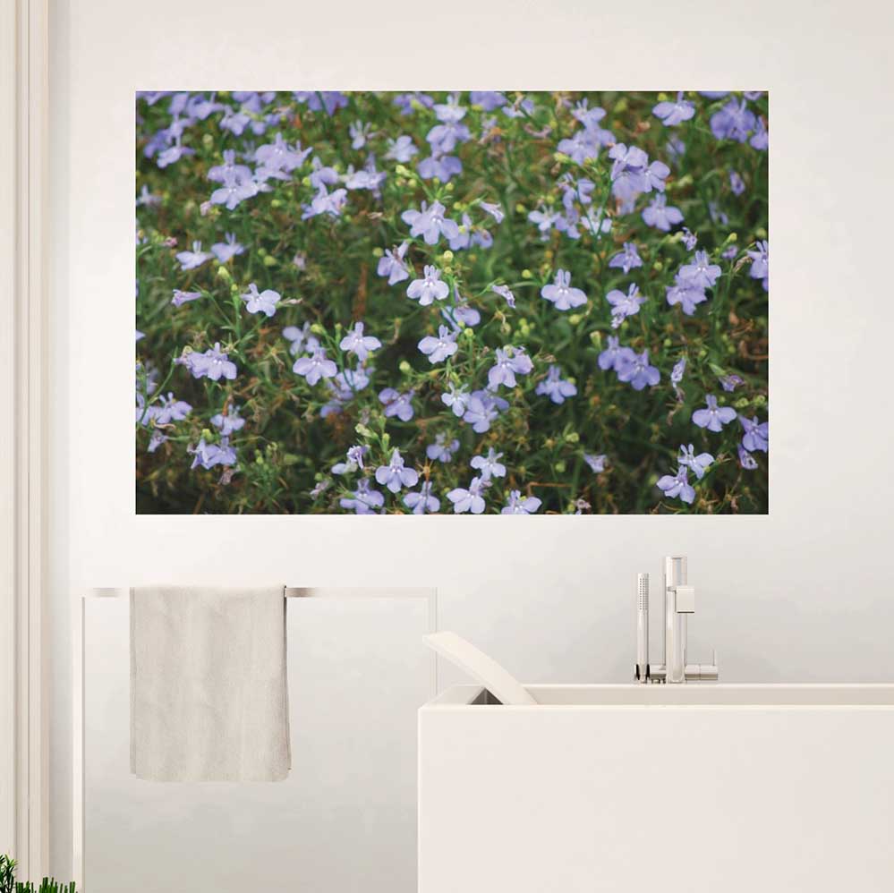 40x60 inch Purple Flowers Poster Displayed in Bathroom