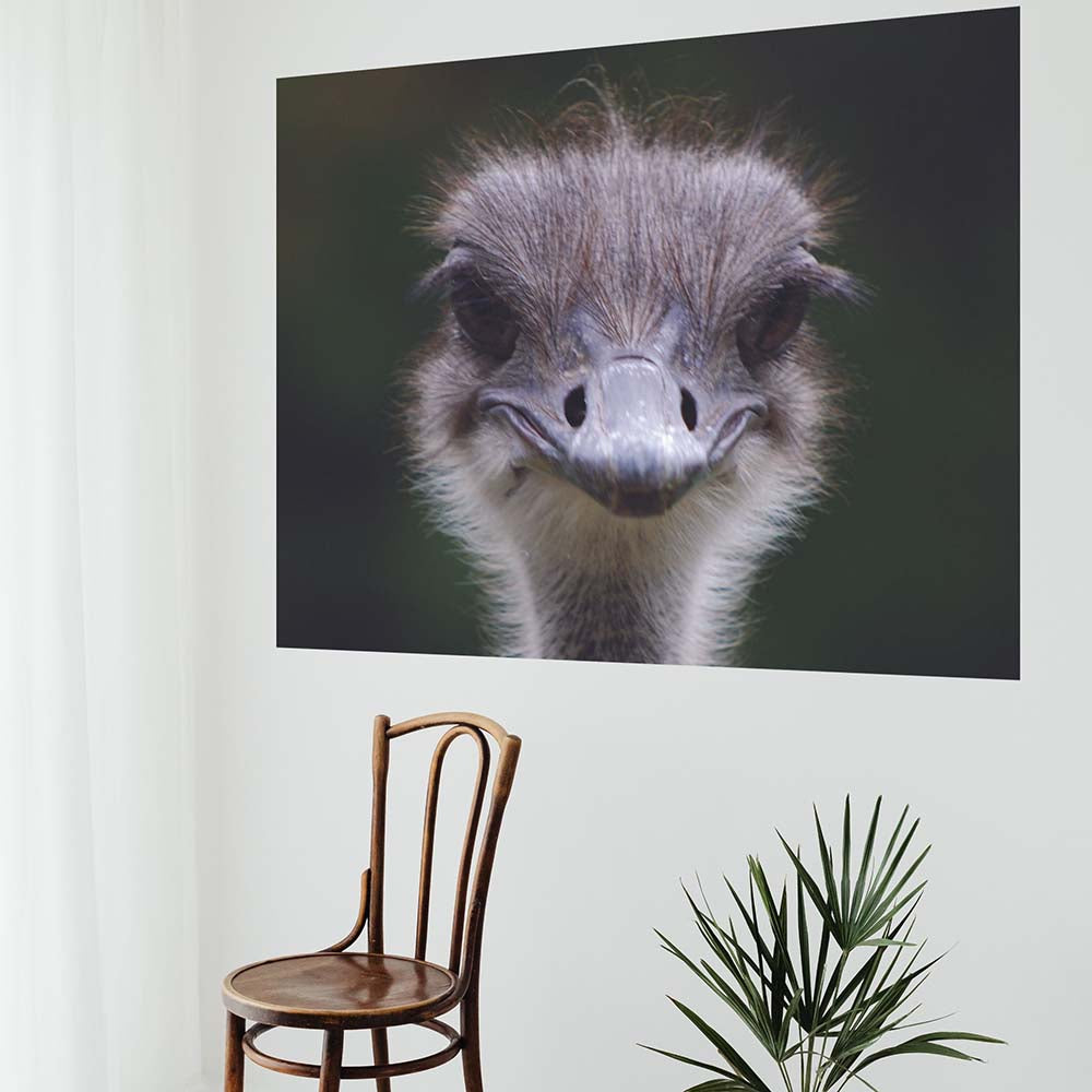 60 inch Ostrich Portrait Poster Displayed on Wall