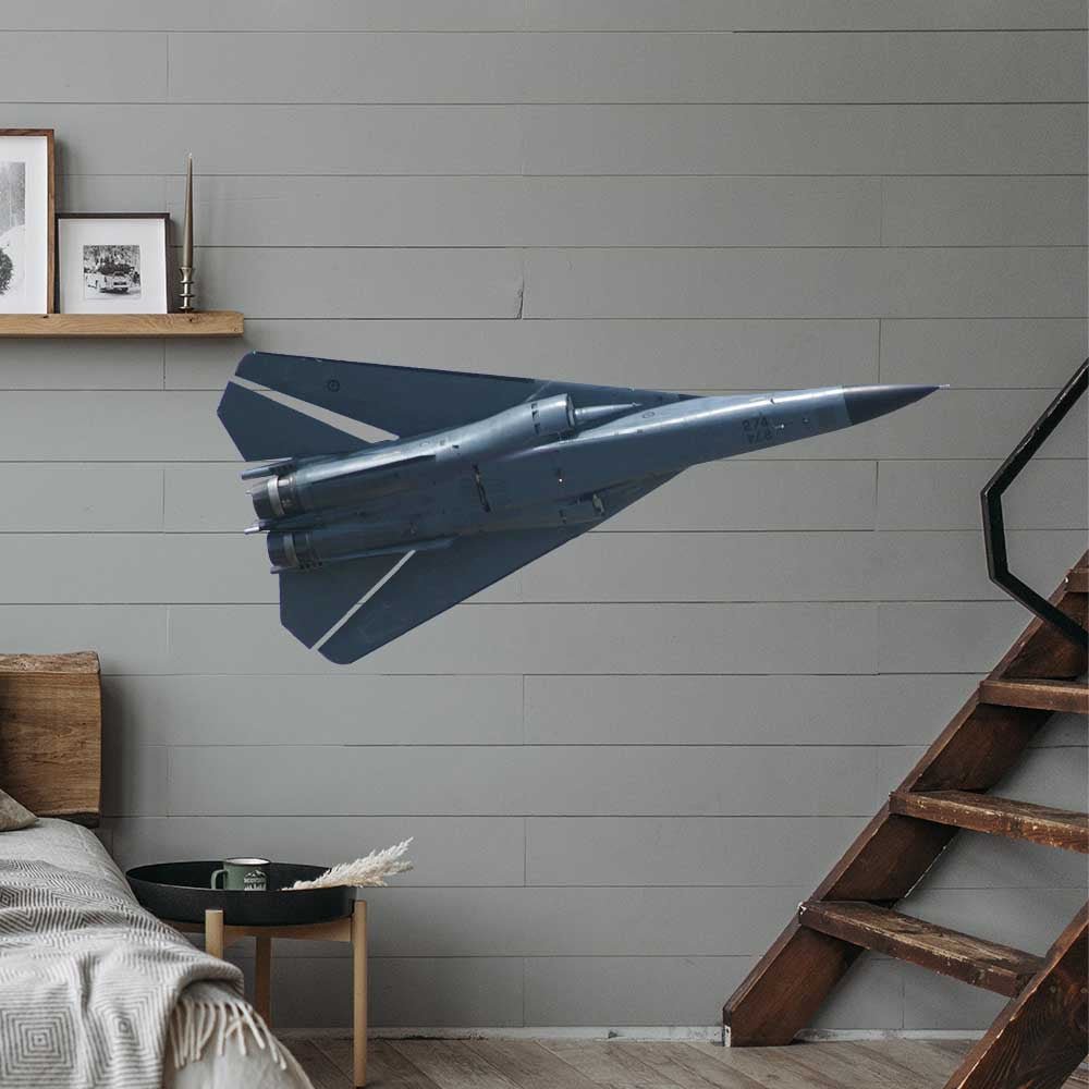 60 inch F-111 Aardvark Die-Cut Decal Installed by Staircase