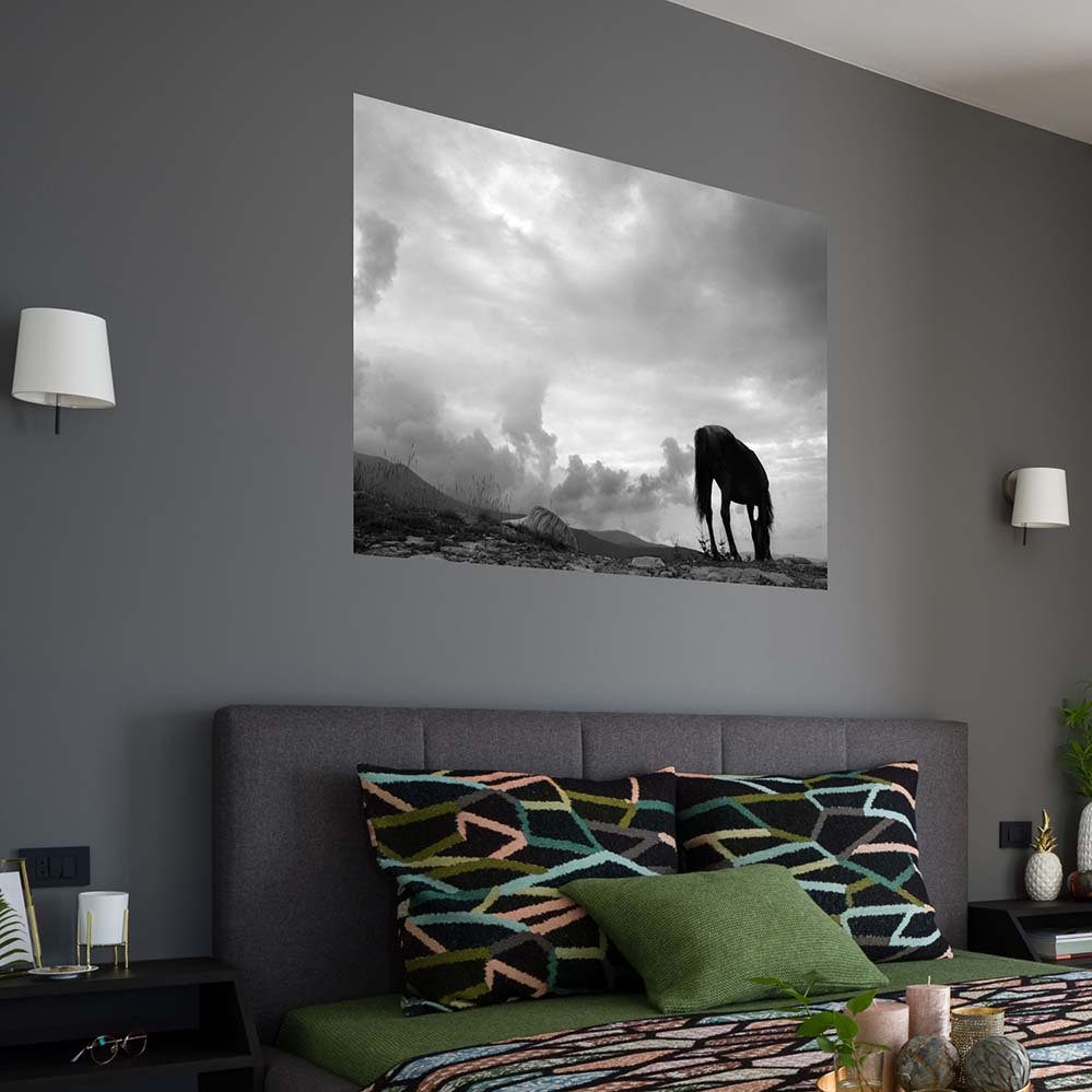 60 inch Grazing Horse Gloss Poster Installed in Bedroom