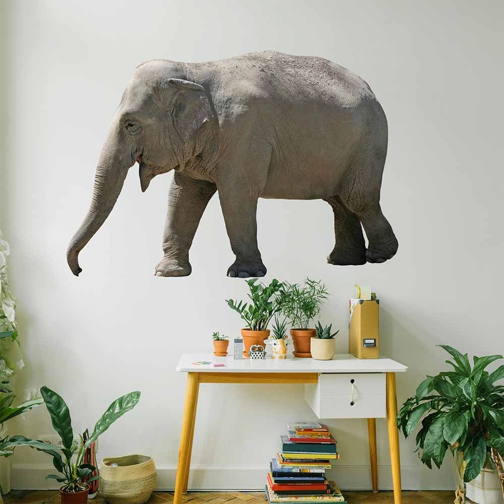 60inch Lumbering Elephant Decal Installed Above Desk