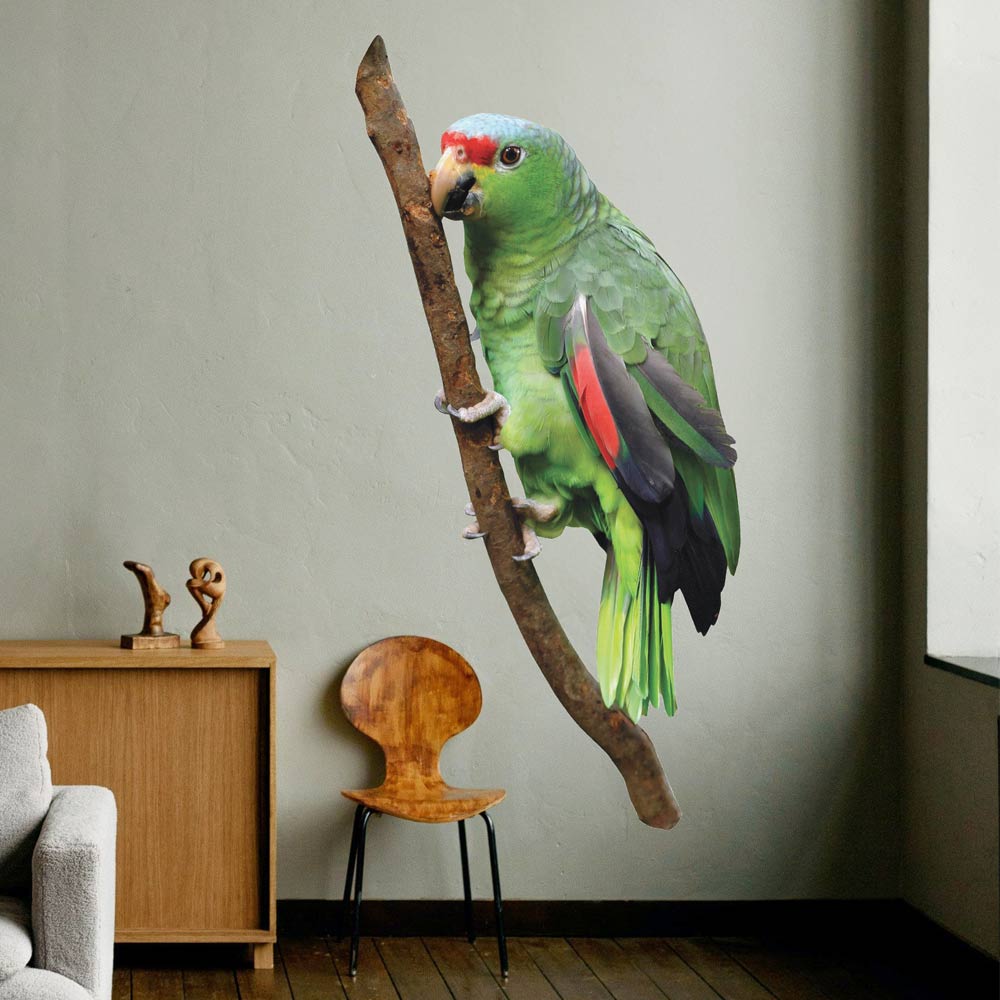 60 inch Parrot Die-Cut Decal Installed Near Window